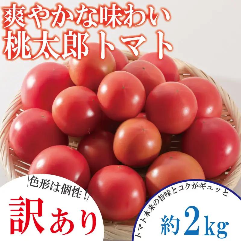【訳あり】 【2027年1月発送】 桃太郎トマト 約2kg 先行予約 トマト
