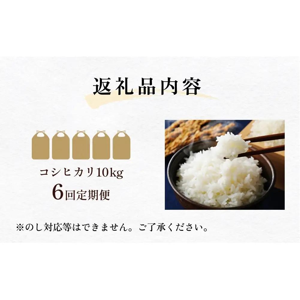 【6回定期便】富山県産 コシヒカリ 10kg 富山県 氷見市 米 コシヒカリ