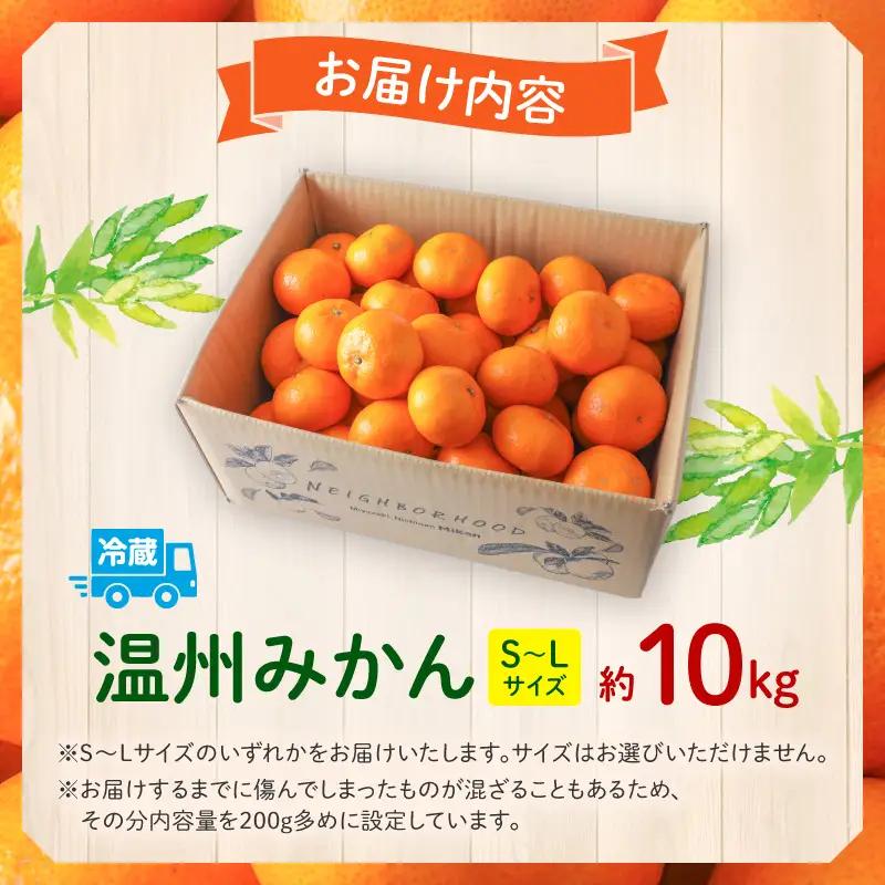 果物 温州みかん 果物[10kg 傷み補償分200gを同梱 2026年～2027年発送先行予約]