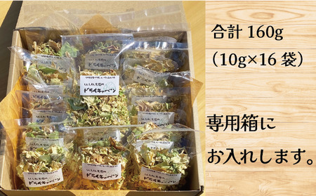 きゃべつ ドライキャベツ 16袋 先行予約