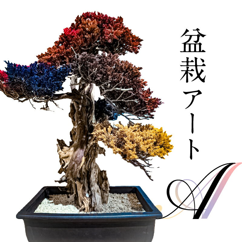 【ふるさと納税】盆栽アート【A】 岐阜県 可児市 盆栽 アート 伝統文化 インテリア ディスプレイ 再生 植物 アート作品 Withers 水やり不要 メンテナンス不要 盆栽アート 日本 伝統 文化 オフィス 自宅 装飾 飾り 送料無料