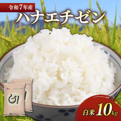 ふるさと納税 彦根市 令和7年産 ハナエチゼン白米10kg(5kg×2袋)  噛むたびに広がる甘み