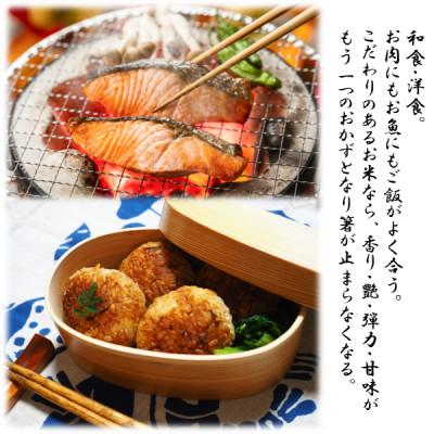 ふるさと納税 かすみがうら市 茨城県産コシヒカリ寿米流(すまいる)20kg(5kg×4袋) |  | 01