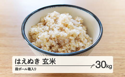 
            【配送時期が選べる】《先行予約》 2024年産 令和6年産 山形県産 はえぬき 玄米 30kg（段ボール箱入り）お米 ブランド米 こめ コメ ff-hagxb30
          