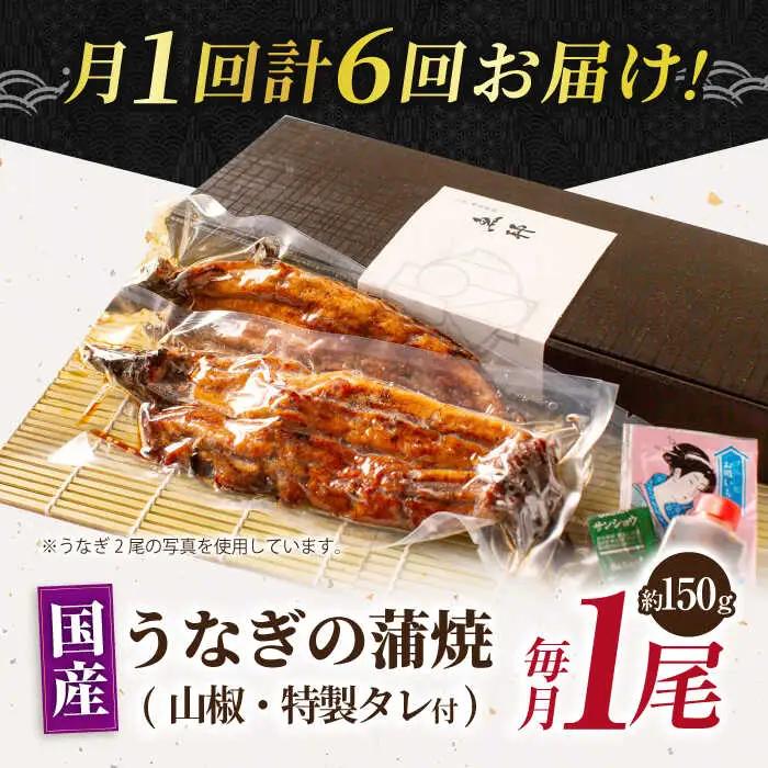 【6回定期便】国産上うなぎ蒲焼 1尾 約150g  [AVBH009]魚邦 鰻