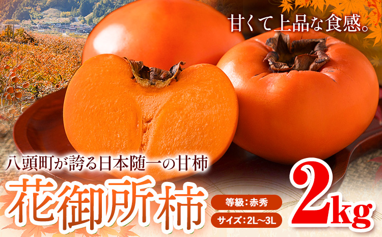 柿 八頭町が誇る 日本随一の 甘柿 花御所柿 贈答用 2kg Tottori食のまごころ農園 《12月上旬-12月下旬頃出荷》鳥取県 八頭町 柿 かき カキ 花御所柿 甘柿 果物 フルーツst-p