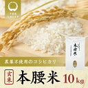 【ふるさと納税】本腰米10kg 玄米 千葉県産コシヒカリ 農薬不使用 お米 10kg 千葉県産 大網白里市 コシヒカリ 農薬不使用 米 玄米 こめ 送料無料 F006