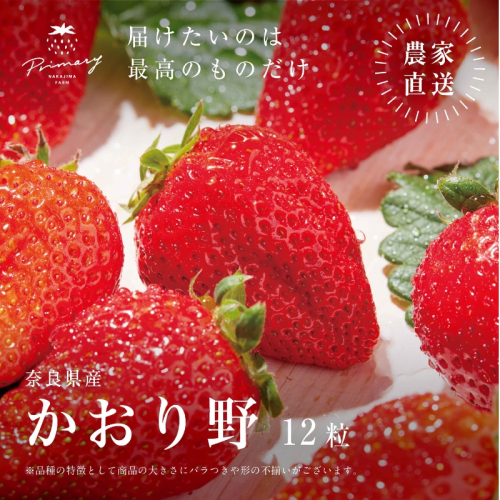 【先行予約】いちご 風味豊かないちご かおり野 1箱(9粒～12粒) 苺 イチゴ くだもの 果物 フルーツ 甘い 大和郡山市 奈良県