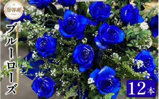 生花 ブルーローズ 12本 青バラ バラ 薔薇 花束  ローズ フラワー ブーケ 生け花 プレゼント 贈り物 ギフト 雑貨 インテリア 花 フラワーガーデンミモザ 徳島県 小松島