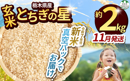 【栃木県共通返礼品】【先行予約】【ふるさと納税】【11月発送分】毎月500個限定！令和7年度新米 栃木県産とちぎの星（玄米真空パック) 約2kg  | 新米 栃木県産 とちぎの星 真空 パック 米  