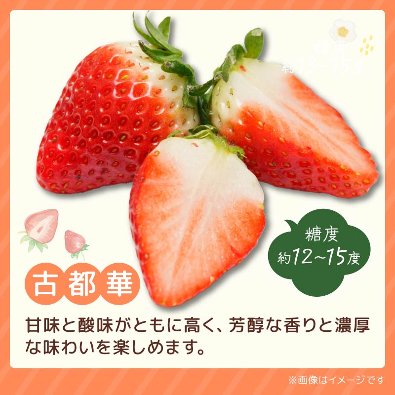 いちご ならあかり 古都華 セット 2027年 発送（270g×2パック）予約受付中 数量限定 早期終了 予定あり 家庭用 イチゴ 先行予約 苺 奈良ブランド苺 ブランド 古都華 大粒 苺 旬 産地 