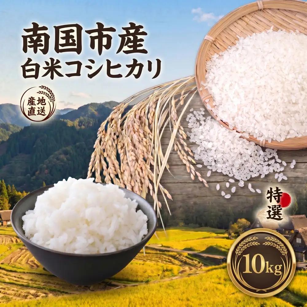 【令和8年度産】白米 コシヒカリ 10kg