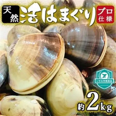 プロも認める活はまぐり 国産 天然 約2.0kg 千葉県産 九十九里産_はまぐり 蛤 貝 魚介_【配送不可地域：離島・沖縄県】【1226281】