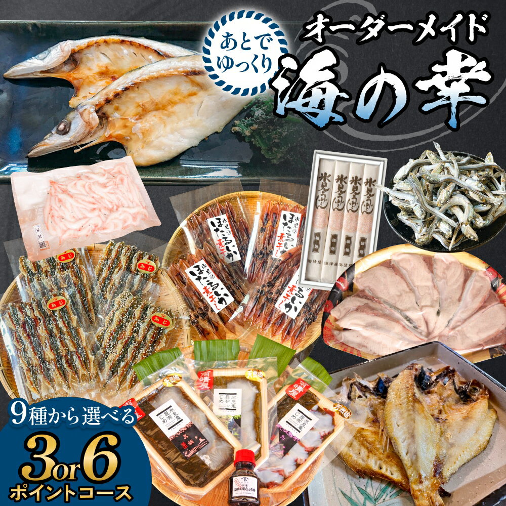 【ふるさと納税】あとでゆっくりオーダーメイド海の幸【3ポイントコース】または【6ポイントコース】（のどぐろ・白えび・氷見産ぶり・ほたるいか等から選べる） 富山県 氷見市 干物 ぶりしゃぶ 昆布締め 氷見うどん