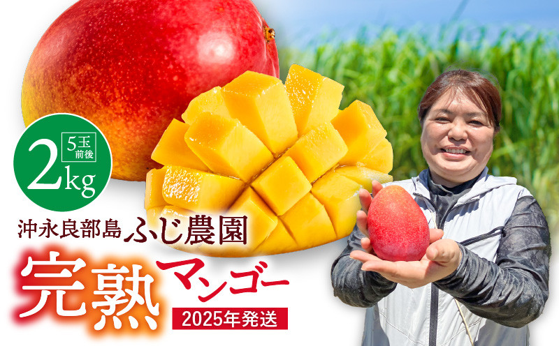 
            【2026年先行予約】ふじ農園の完熟マンゴー 2kg　C031-002
          