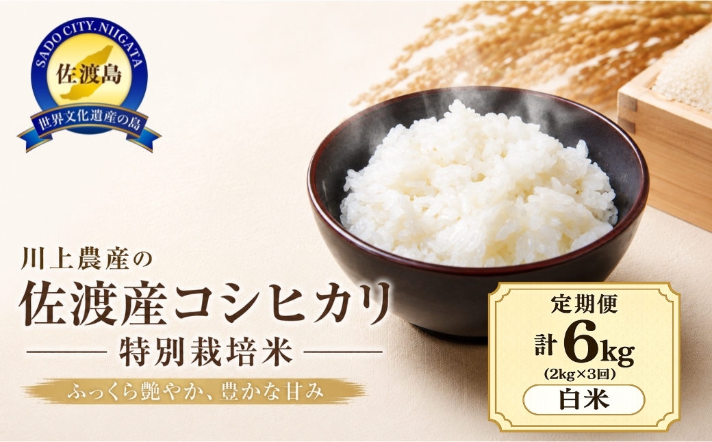 
                  【3か月定期便 コシヒカリ】令和7年産 佐渡産コシヒカリ 合計6kg（2kg×全3回）川上農産 | 新潟県産コシヒカリ 新潟産コシヒカリ 新潟コシヒカリ 佐渡島産コシヒカリ 新潟県産こしひかり 佐渡産こしひかり お米 米 こしひかり 白米 精米 おこめ コメ 2キロ 定期便 少量 にいがた さど 新潟県 佐渡市
                