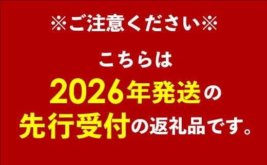 【贈答用】【先行受付・2026年発送】ママチチマンゴーファームの贈答用アップルマンゴー約1kg - 先行予約 沖縄県産 産地直送 南国フルーツ 旬の味覚 旬のフルーツ 贈り物 ギフト 沖縄県 八重瀬町