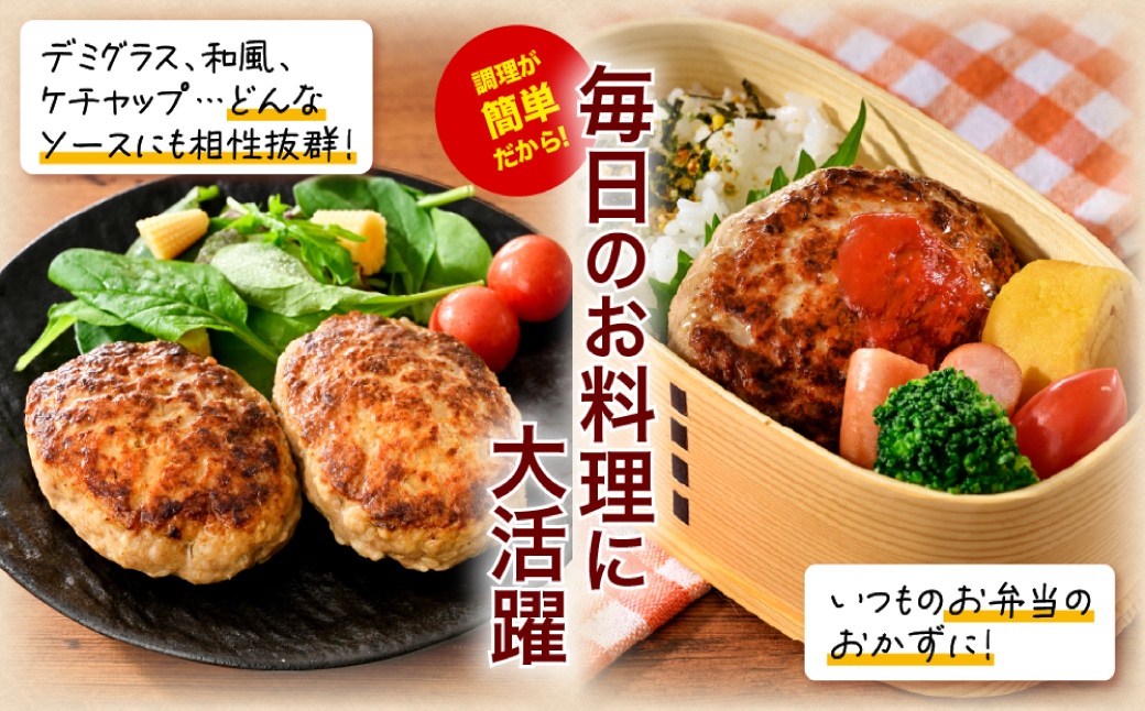 赤村養生館 特製手ごねハンバーグ 8個 B24