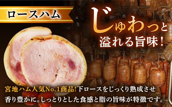 【6回定期便】ロースハム詰合せ 計950g（ロースハム 焼豚 プレスハム）/宮地ハム [UBM018]