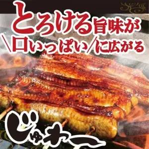 うなぎ蒲焼き&白焼きセット（蒲焼き：１６０ｇ×１・白焼き：１６０ｇ×１） _AT04