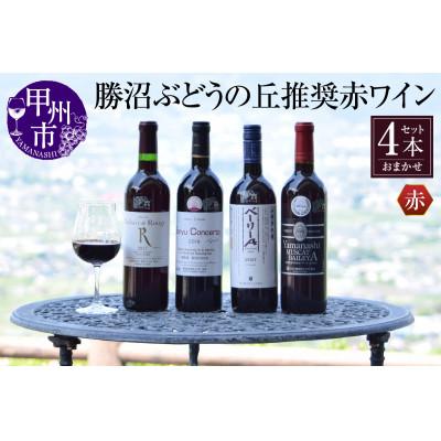 ふるさと納税 甲州市 勝沼ぶどうの丘推奨赤ワイン4本セット D-604