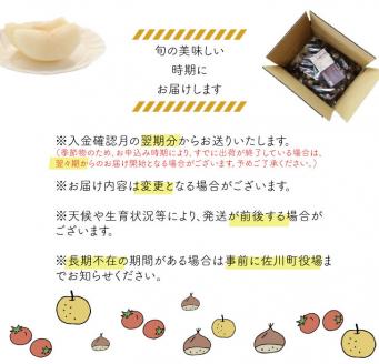 【年3回】フルーツ・野菜 定期便