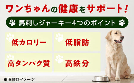 【全6回定期便】詰め合わせ 国内加工 ペット用 馬肉 切り落とし 1kg ペット用 馬刺しジャーキー 100g(50g×2)【五右衛門フーズ】[YBZ069]