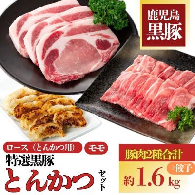 ふるさと納税 肝付町 特選黒豚とんかつセット(計約1.6kg)、黒豚餃子(12個入×1P)付き!　B02077