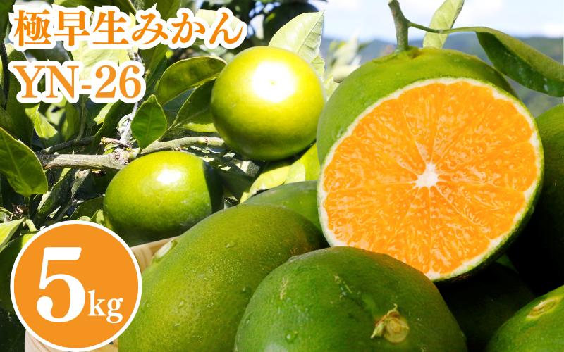 
                  【2025年分先行予約】極早生みかん YN-26（紀のゆらら）5kg【9月上中旬以降順次発送予定】 / 和歌山県 田辺市 みかん 早生みかん 柑橘 果物【mrn004-2】
                