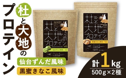 杜と大地のプロテイン 2種セット (2種×各500g) ＜仙台ずんだ風味・黒蜜きなこ風味＞ トレーニング 筋トレ タンパク質 常温 水分補給 ドリンク ジム 国内製造 加工食品 【UGOQ株式会社】 tm333