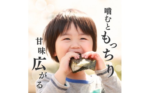 令和8年産 新潟県上越産こしひかり 精米 20kg 上越市 米 コメ コシヒカリ ファインリョーコク
