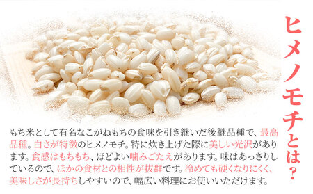 【予約令和6年産】岡山県産 もち米 4.5kg（1.5kg×3袋）農事組合法人奥山営農組合《30日以内に出荷予定(土日祝除く)》 ひめのもち 餅 おこわ 餅つき 栗ご飯 イカ飯 赤飯 岡山県 笠岡市