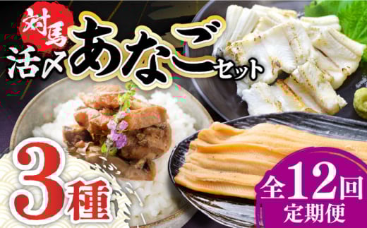 【全12回定期便】対馬 産 活〆 あなご セット《対馬市》【対馬地域商社】九州 長崎 煮あなご 佃煮 アナゴ [WAC020]冷凍 新鮮 あなご 穴子 下処理 寿司 あなご重 天ぷら おかず もう1品 おつまみ おにぎり ちらし寿司 海鮮 魚介 長崎 対馬 揚げ物 定期便 毎月届く