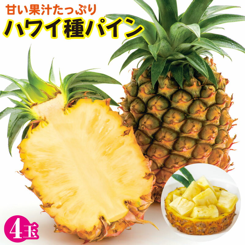 【ふるさと納税】＜先行予約＞ ハワイ種 パイナップル 4玉 ＜2026年6月発送＞ | 沖縄県 石垣市 石垣島産 パイン パイナップル ハワイ種パイナップル ZH-016