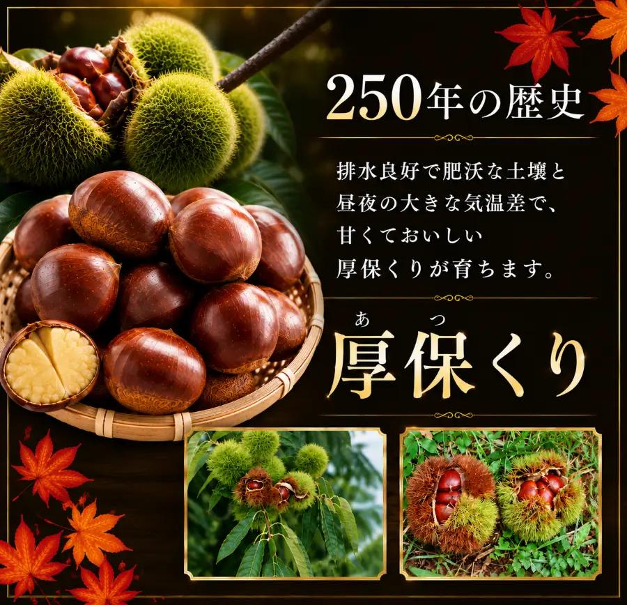 【先行予約】甘くて デカい ! 厚保くり ( 生栗 ) 5kg 山口美祢産 先行予約 ＜2026年10月上旬 ～ 11月中旬 発送予定＞ 