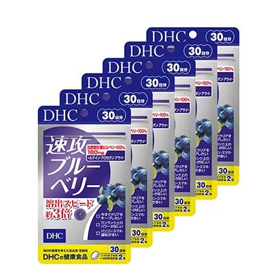 ふるさと納税 袋井市 DHC速攻ブルーベリー 30日分 6個セット
