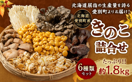 きのこ詰合せ（6種類）セット 1.8kg きのこ 舞茸 450g ／ 椎茸 200g ／ えのき 400g ／ 雪のした 200g ／ キクラゲ 200g ／ なめこ 360g セット キノコ 新鮮 鍋 スープ 天ぷら 味噌汁 北海道産 北海道 愛別 冷蔵
