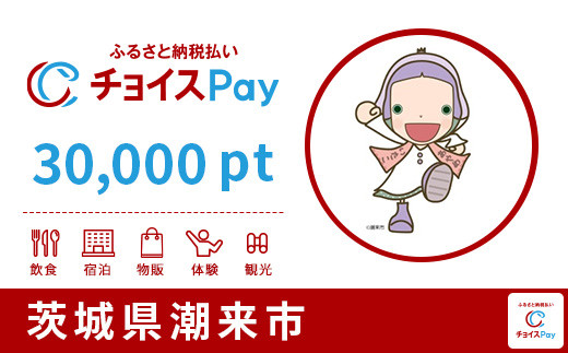 
潮来市チョイスPay 30,000pt（1pt＝1円）【会員限定のお礼の品】
