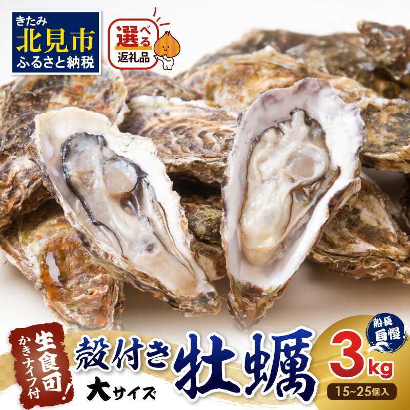 【ふるさと納税】【お歳暮】【予約：2025年10月下旬から順次発送】サロマ湖自慢の殻付きカキ貝 大 3kg詰め ( 牡蠣 かき 濃厚 大きい 魚介類 貝類 殻付 殻付き牡蠣 BBQ バーベキュー )