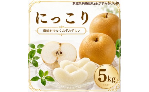 
                  梨 果物 にっこり なし 5kg 1箱 フルーツ くだもの 秋 旬 果汁 甘み 茨城県産 期間限定 数量限定 【茨城県共通返礼品/かすみがうら市】（107-04）
                