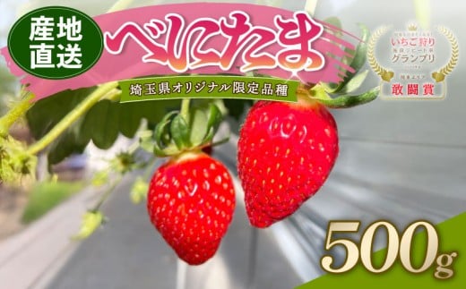 【予約】 べにたま 埼玉限定品種 500g いちご イチゴ 苺 ストロベリー 産地直送 ご当地 果物 くだもの フルーツ デザート 食品 スイーツ 冷蔵 strawberry ichigo itigo ロコファーム 埼玉県 羽生市