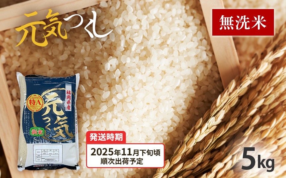 
                   令和7年産　福岡県産ブランド米「元気つくし」無洗米　5kg【11月下旬頃より順次出荷予定】
                