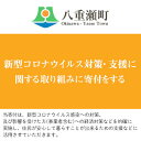 【ふるさと納税】新型コロナウイルス対策・支援に関する取り組みに寄付をする（10万円）