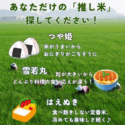 ふるさと納税 飯豊町 山形県産米〜推し米〜セット