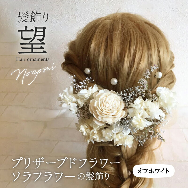 【ふるさと納税】自然の美しさを楽しめる ヘア アクセサリー 髪飾り ｢望｣ 成人式 卒業式 入学式 結婚式 和装 洋装 花 プリザーブドフラワー ドライフラワー アジサイ かすみ草 ソラフラワー オフホワイト 晴れの日 華やか ヘッドパーツ 奈良県 生駒市 送料無料