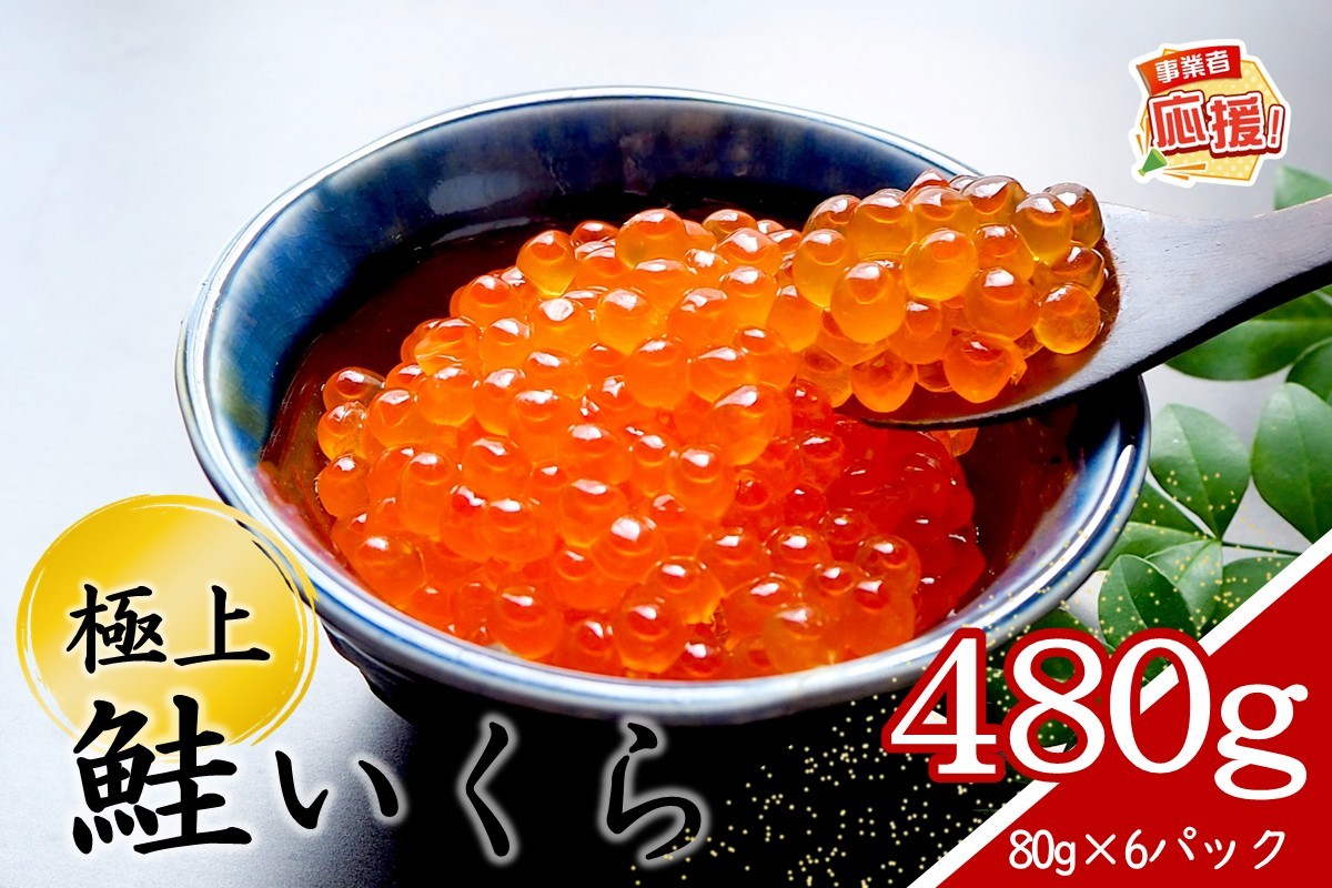 
                  いくらの醤油漬け 小分けパック 480g【ふるさと納税3.0】【087B-108】
                
