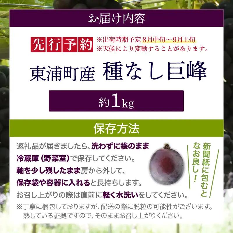 【先行予約】【2026年8月発送】東浦町産 種なし巨峰（約1kg）｜ぶどう フルーツ 