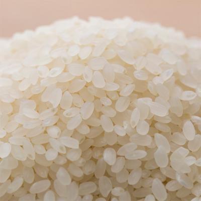 ふるさと納税 新潟市 新潟市産コシヒカリ 白米5kg[54071016] |  | 02