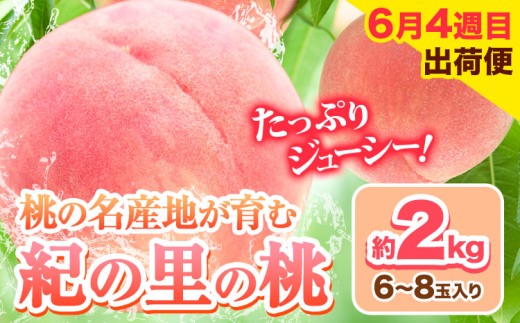 発送「週」指定でお届け!! 甘くてジューシーな紀の里の桃 和歌山県産 紀の里の桃 約2kg (6~8玉) 《初採れ桃:6月4週目出荷便(約2kg)》 2026年 先行予約 紀の里の桃 白鳳 日川白鳳 なつっこ 清水白桃 川中島白桃 和歌山 もも