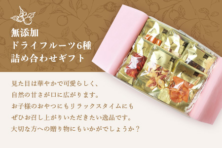 【のし付き・お中元】ドライフルーツ6種 (大6袋) 詰め合わせギフト fラボ B3-41C【1631644】